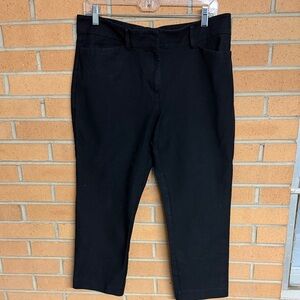 Ann Taylor Black Cropped Ankle Pants